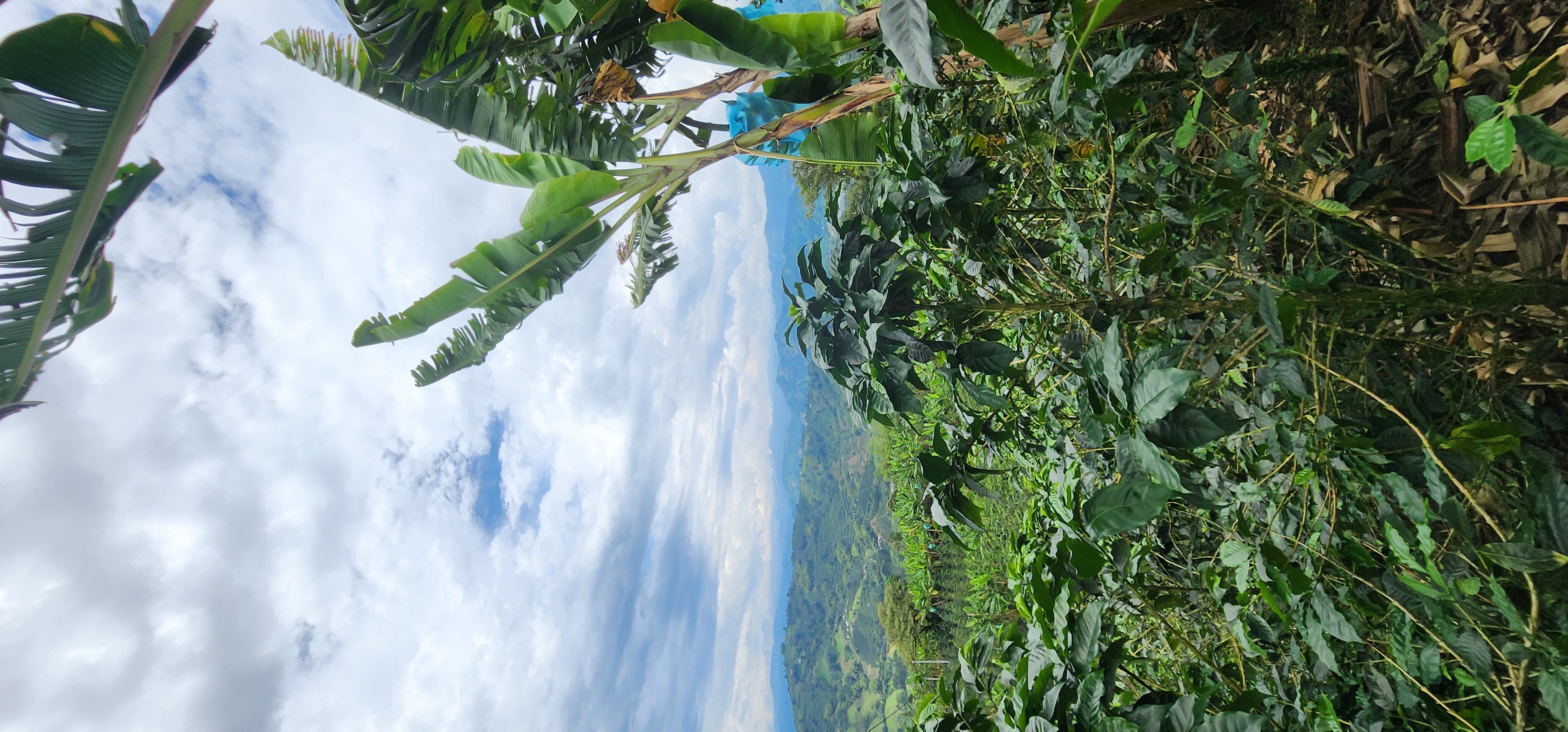 Connection through shared ritual