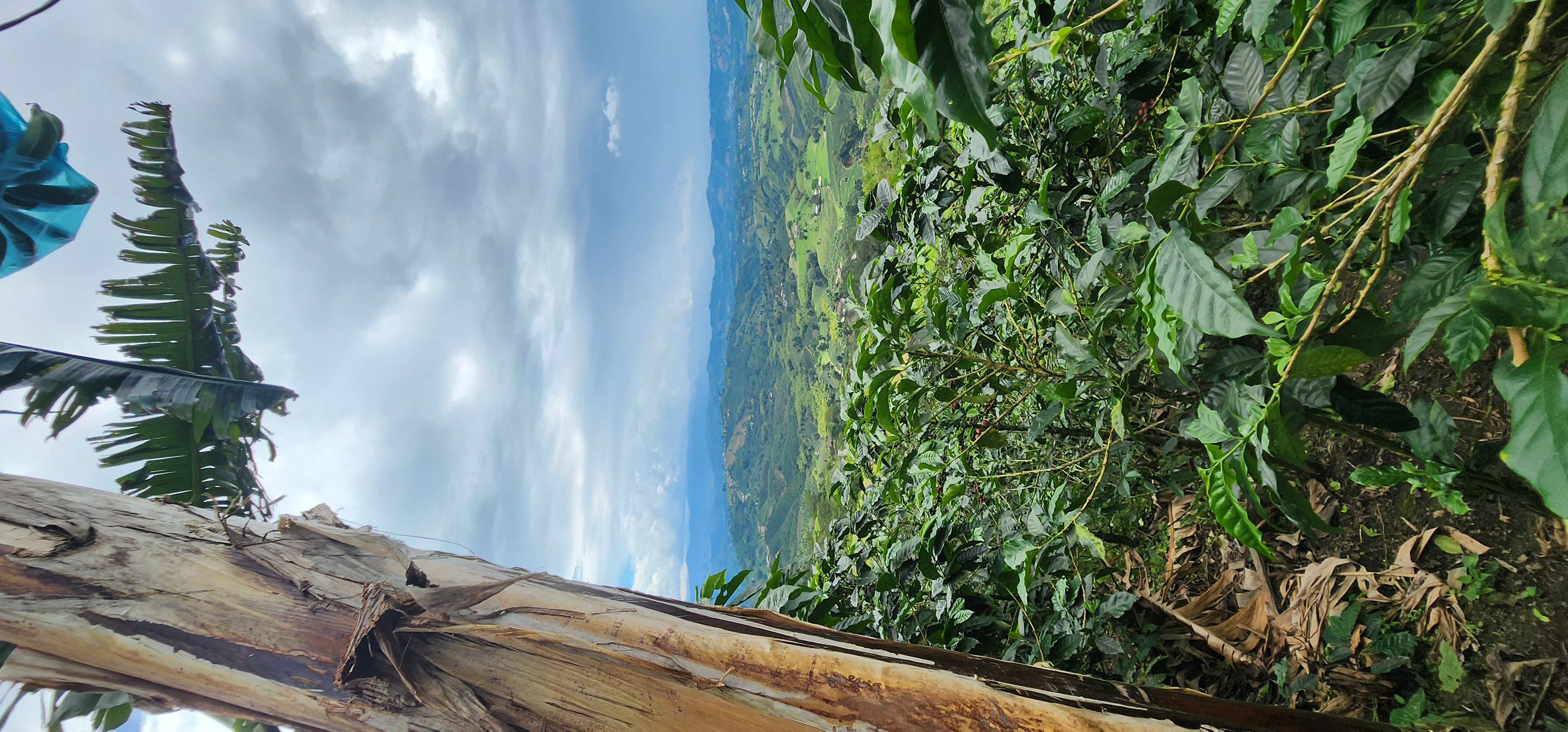 Mindfulness woven into every moment