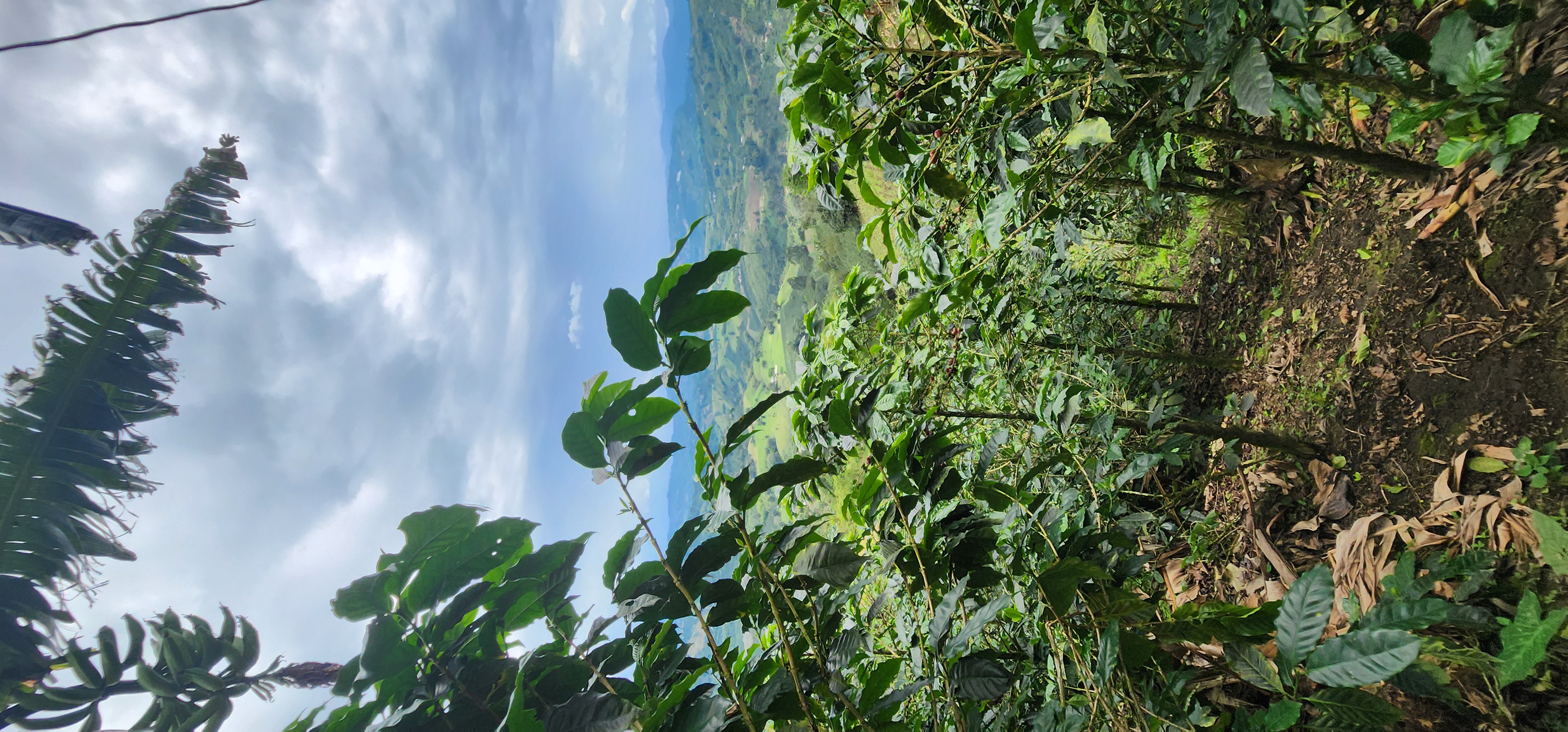 Sensory awakening with intention