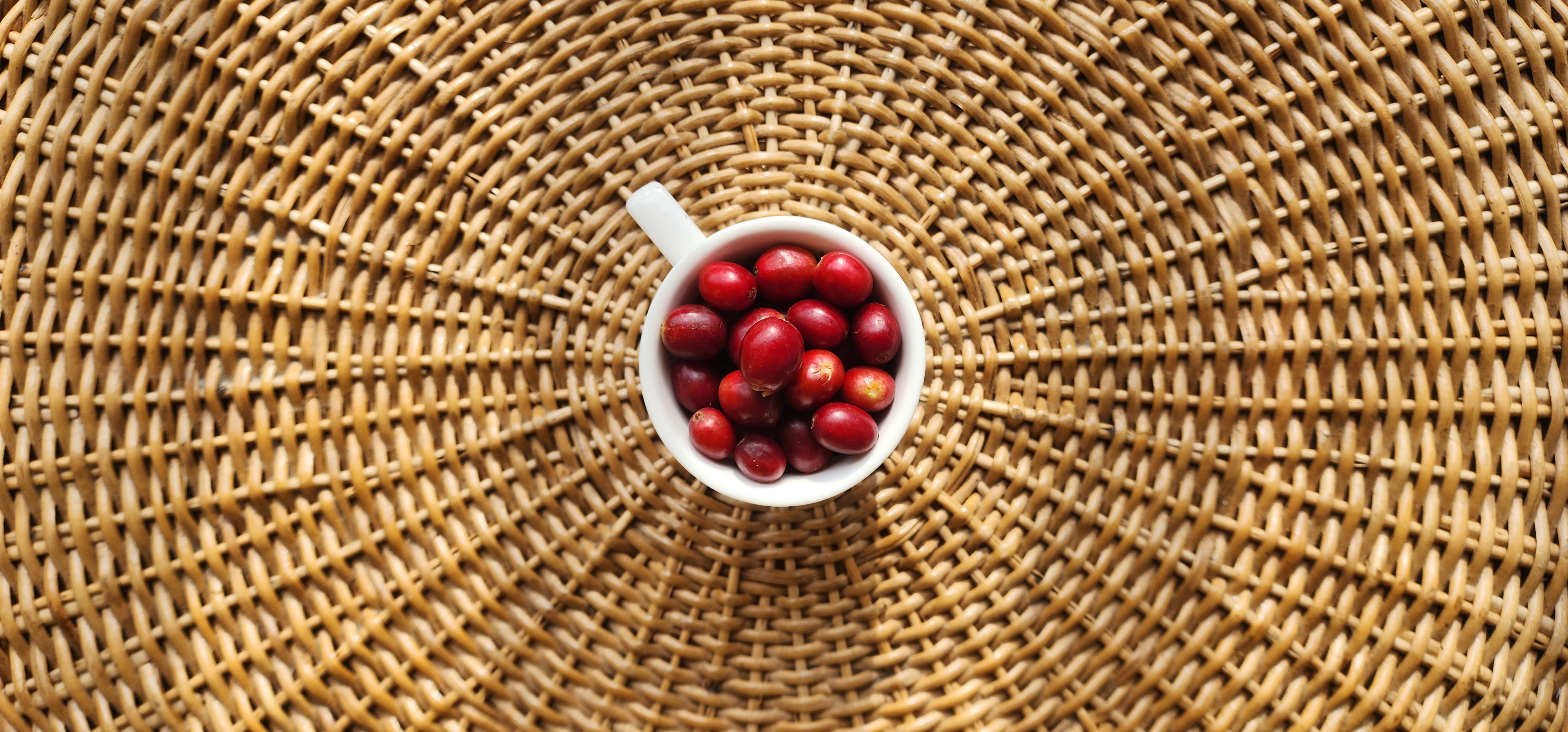 Chemex Coffee - Contemplation