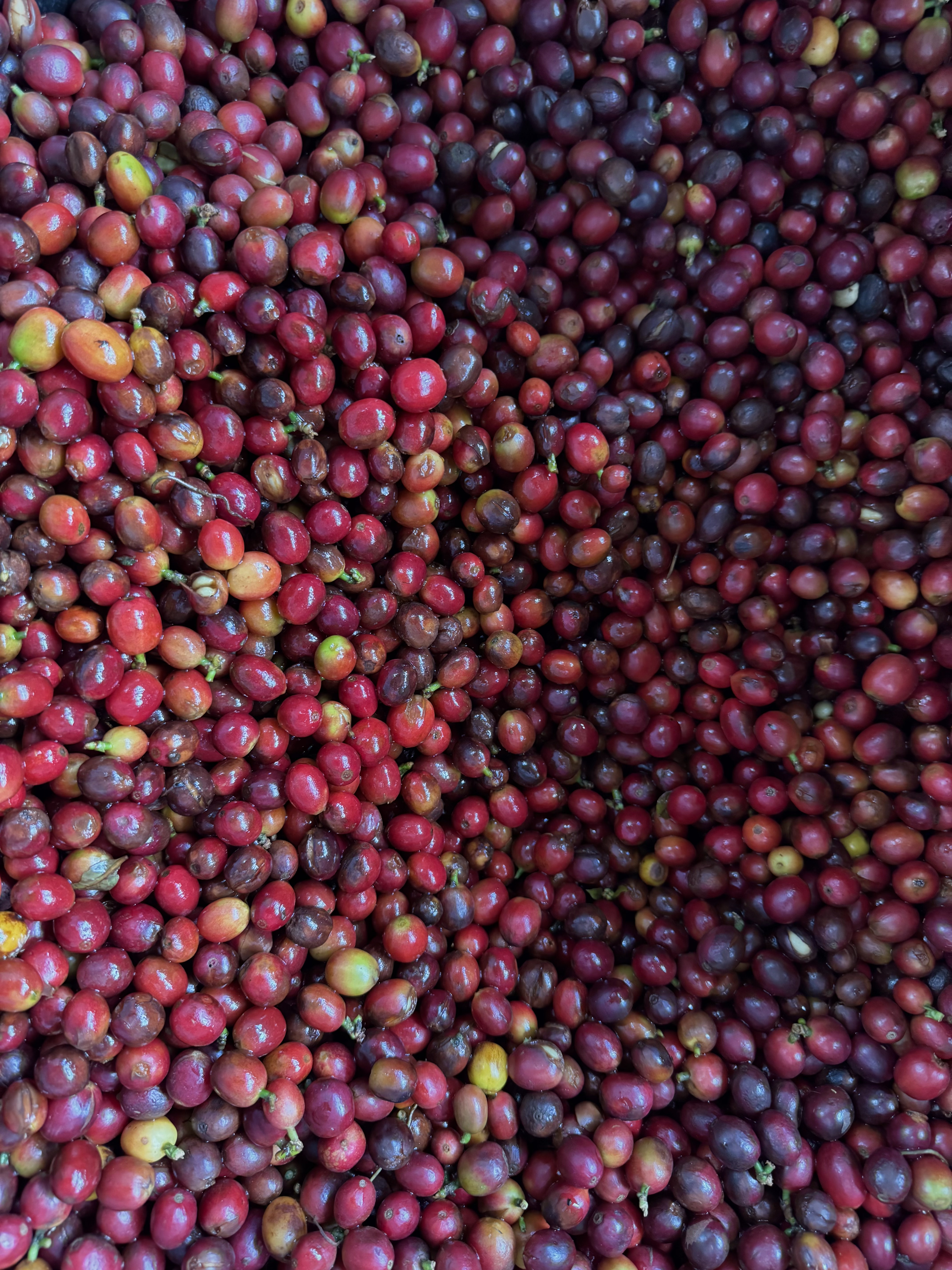 Workshop journey step 2