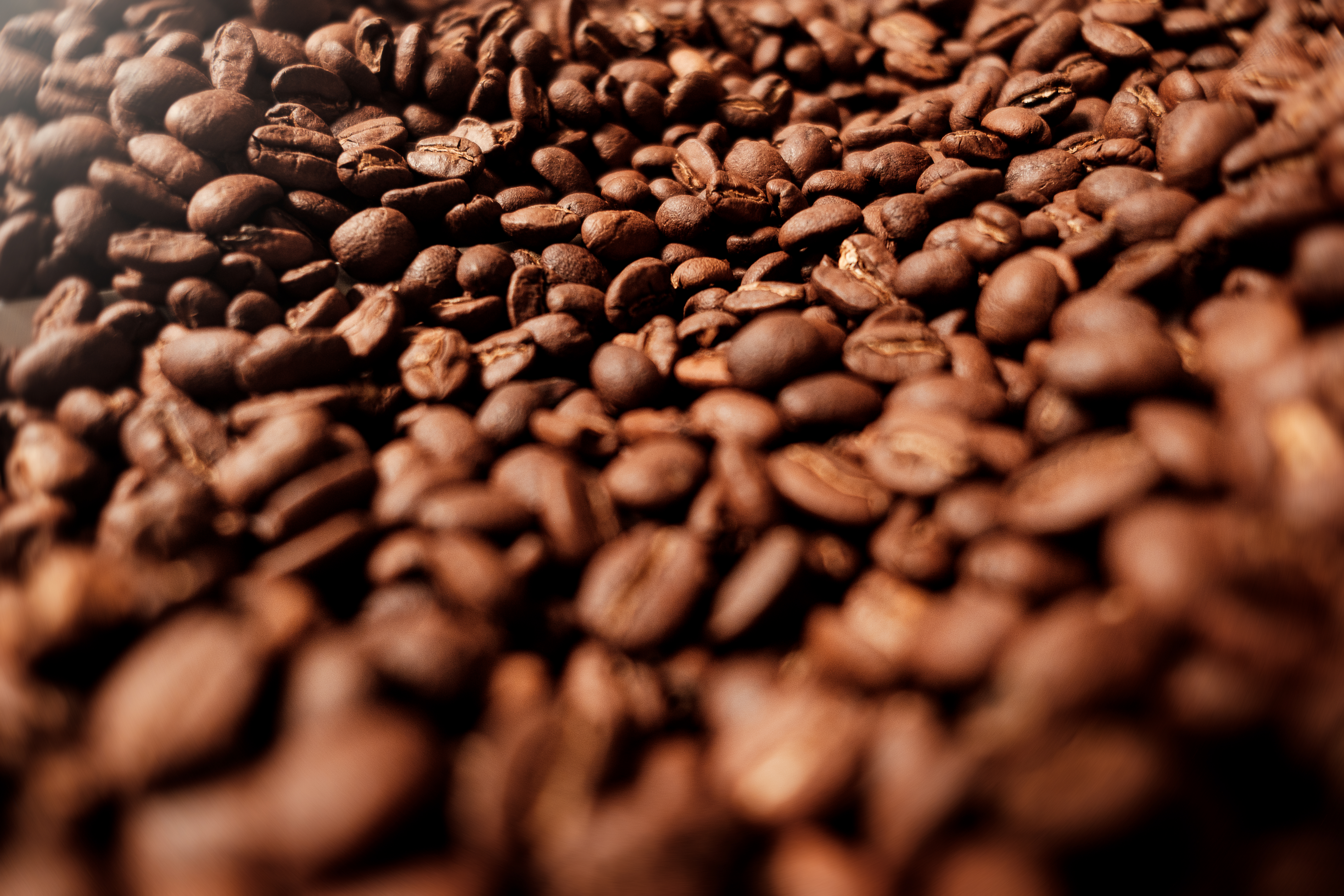 French Press Coffee - Comfort