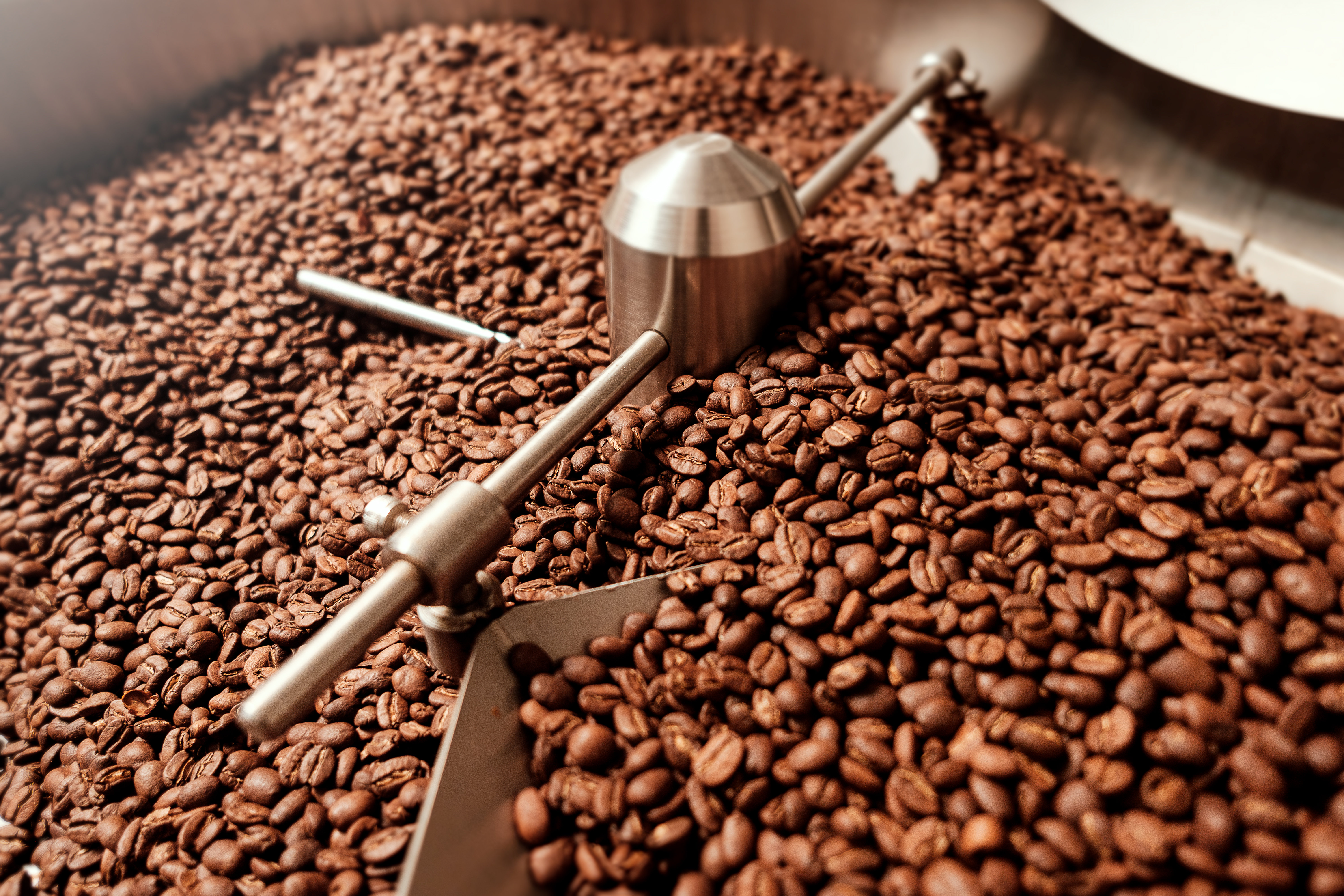 A moment of pause and reflection with specialty coffee